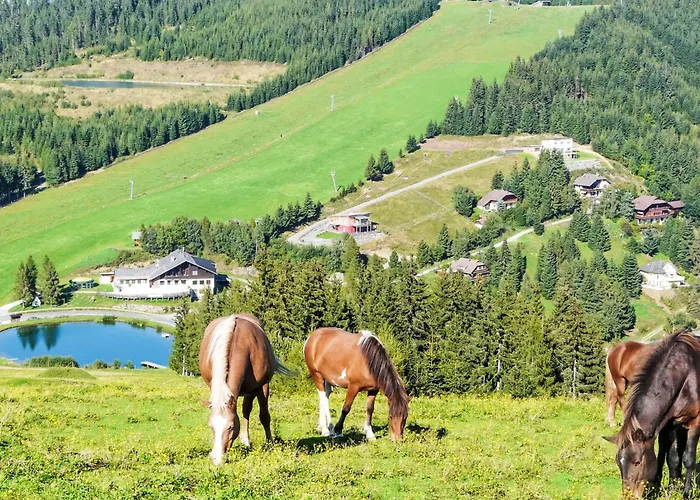 Simonhoehe-1 By Interhome * Sankt Paul